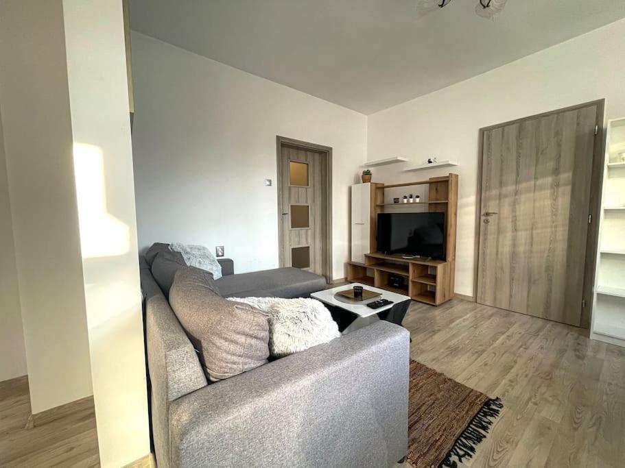 A Flat For A Great Start Apartament